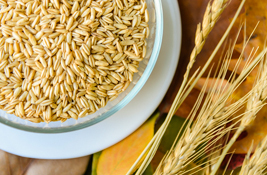 陈化粮冒充优质米 米制品安全不容乐观