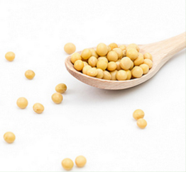 黃豆